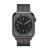 Часы Apple Watch Series 8, 41 мм Milanese Loop (Graphite Stainless)