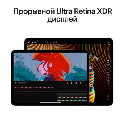 Планшет Apple iPad Pro 11" 2Tb (2024) Wi-Fi «черный космос»