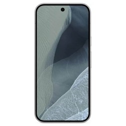 Google Pixel 11 Pro 16/512GB Fog