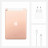 Планшет Apple iPad 10.2&quot; Wi-Fi 128GB 2020 (золотой)