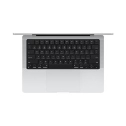 Apple MacBook Pro 14" M4 Max 16c CPU, 40c GPU, 128/8TB серебристый (2024)
