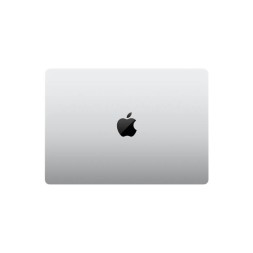 Apple MacBook Pro 14" M4 Max 16c CPU, 40c GPU, 64/2TB, нанотекстурное стекло, серебристый (2024)